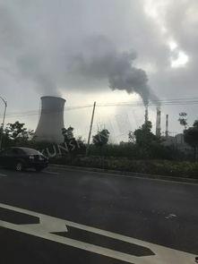 鸭绿江最新爆料,揭秘神秘事件背后的真相 第3张 鸭绿江最新爆料,揭秘神秘事件背后的真相 第3张