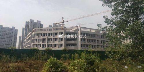 新河中学爆料新闻最新,揭秘校园背后的秘密 第1张 新河中学爆料新闻最新,揭秘校园背后的秘密 第1张